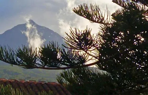 Azores Youth - Pico Hostel *